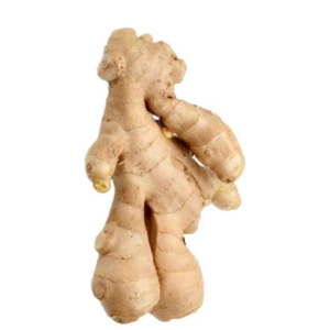 Ginger(Adrak)