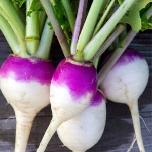 Turnip(Shaljum)
