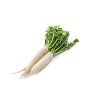 Radish(Moli)