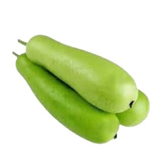Bottle Gourd(Loki)