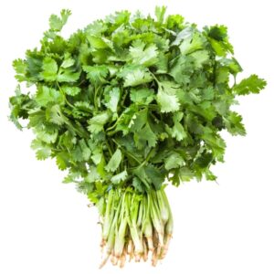 Coriander.Cilantro(Dhania)