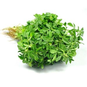 Fenugreek Leaves(Maethi)
