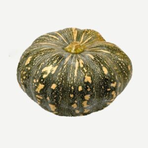 Pumpkin(Kado)